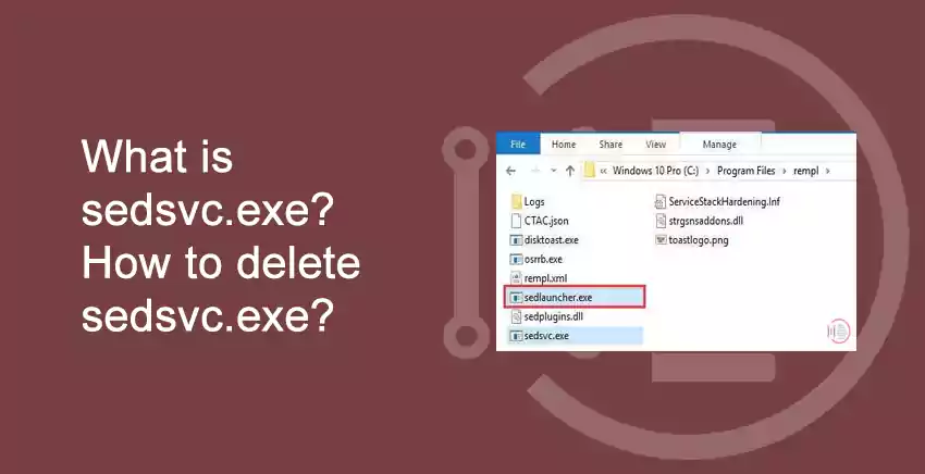 What is SedSvc.exe file?